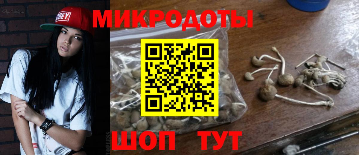 Псилоцибиновые грибы мицелий Ликино-Дулёво